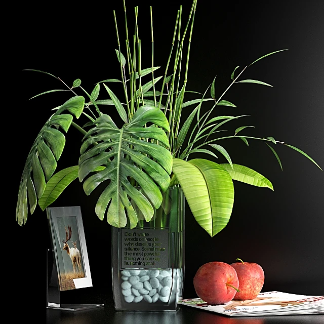 Conjunto decorativo 1