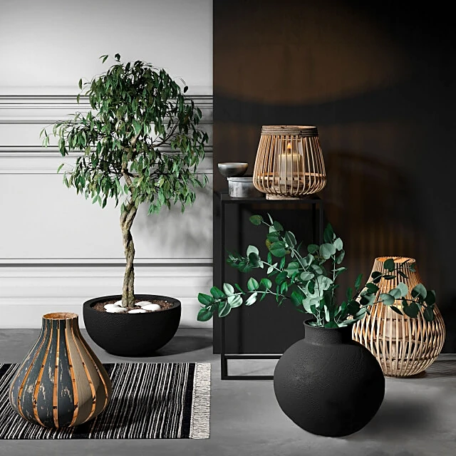 Դեկորատիվ հավաքածու 1