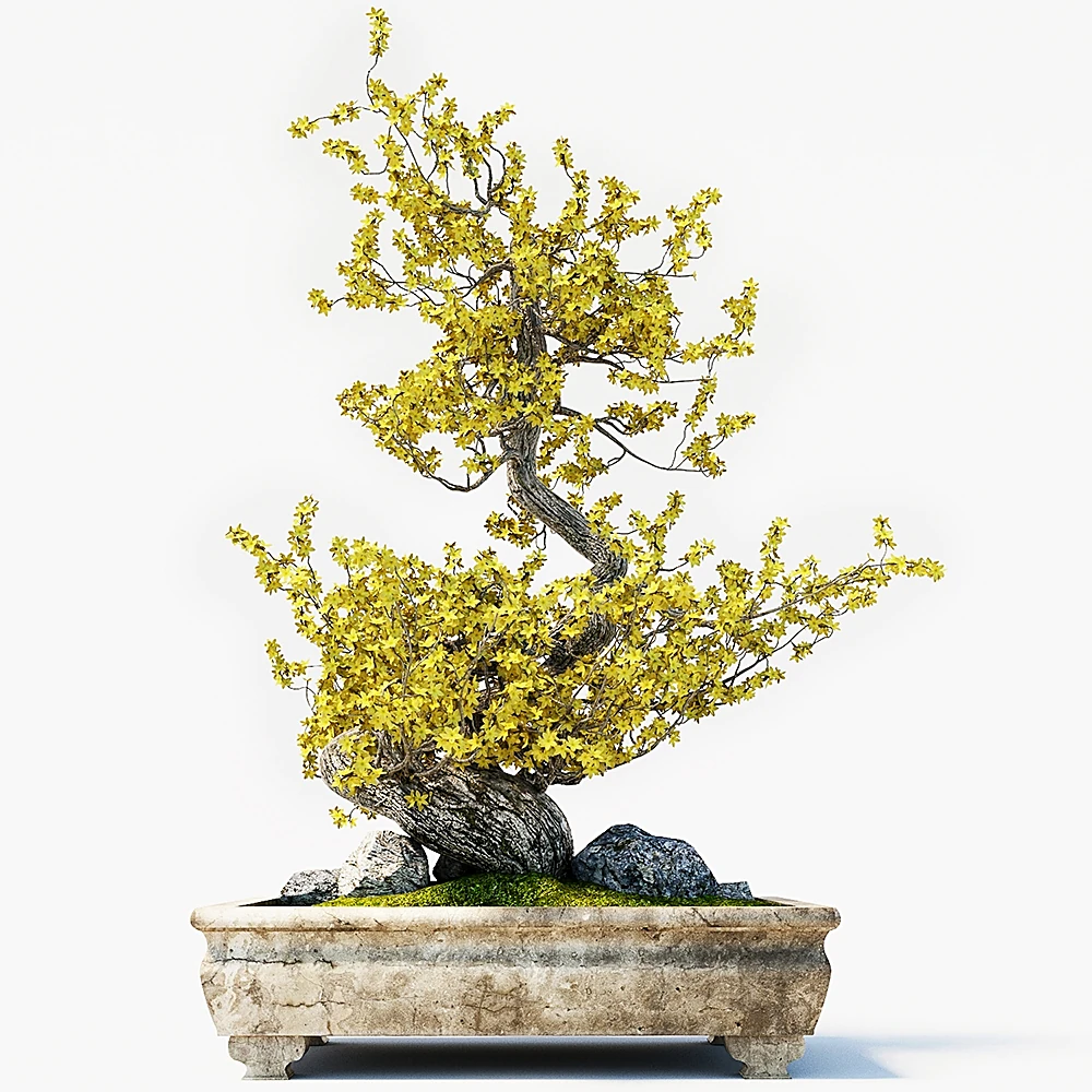 Other decorative objects 2