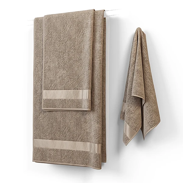 Barra de la  toalla 1