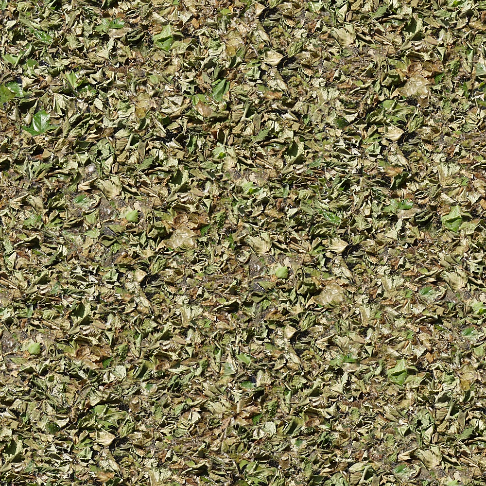 Բնական նյութեր 1