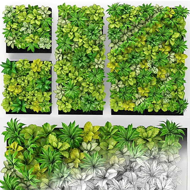 Plants 1