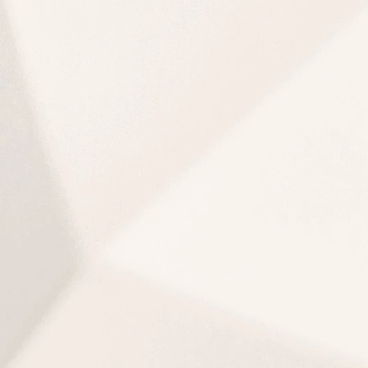 Rivestimento murale 2