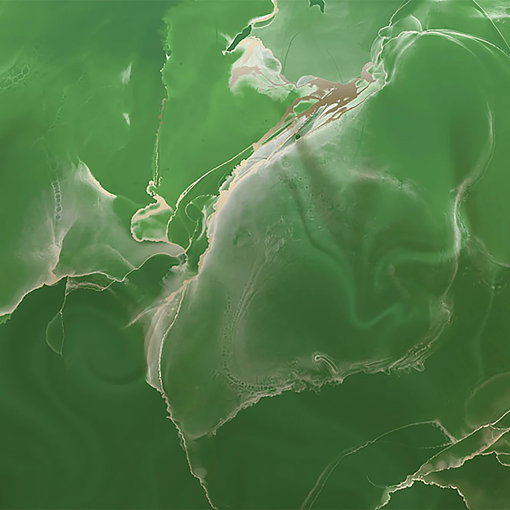 Стены, обои 1