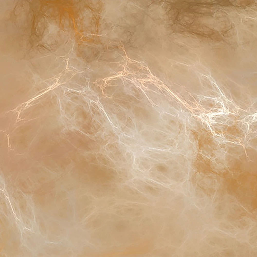 Rivestimento murale 1