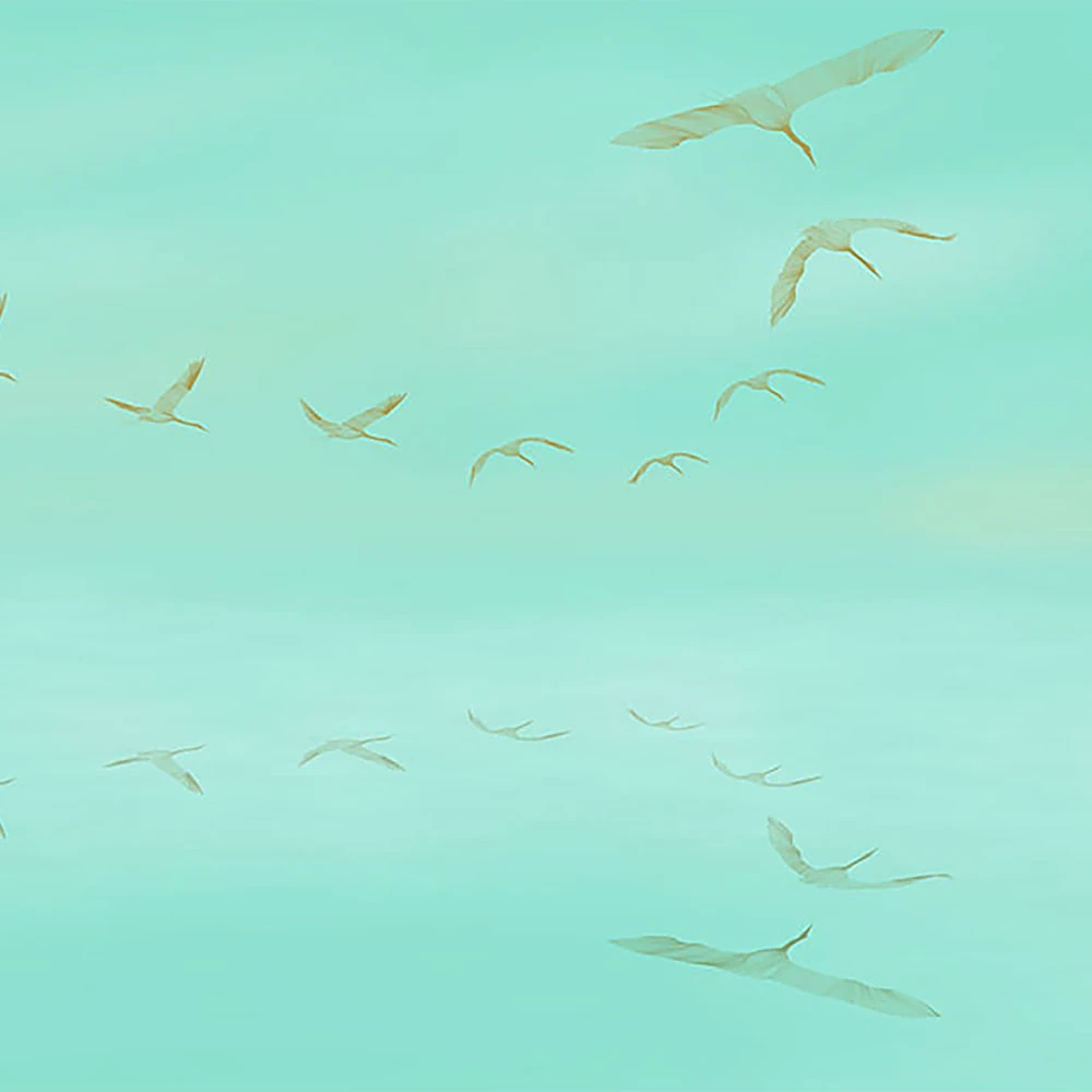 Стены, обои 1