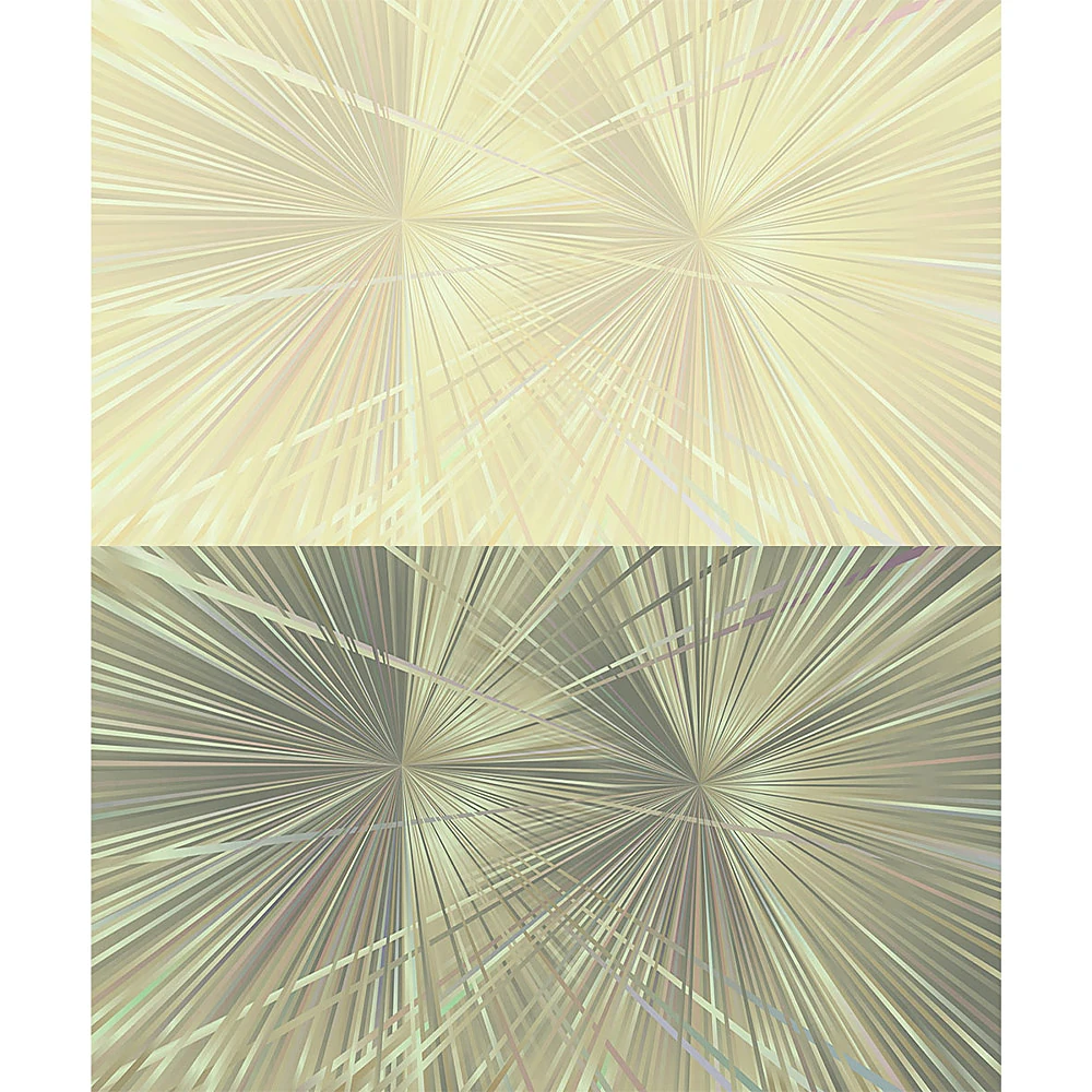 Rivestimento murale 2