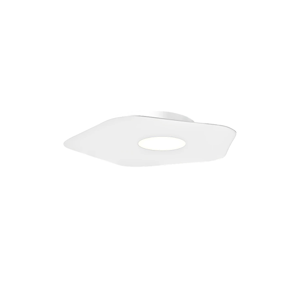 Ceiling lamp 1