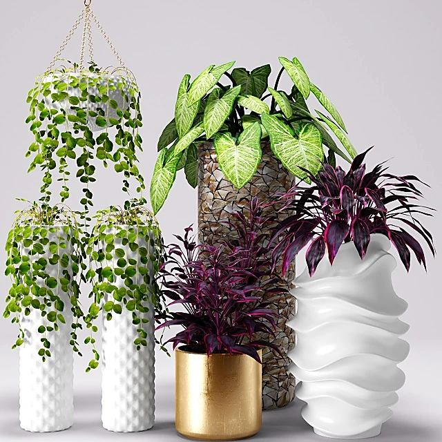 Plants / Vases 1