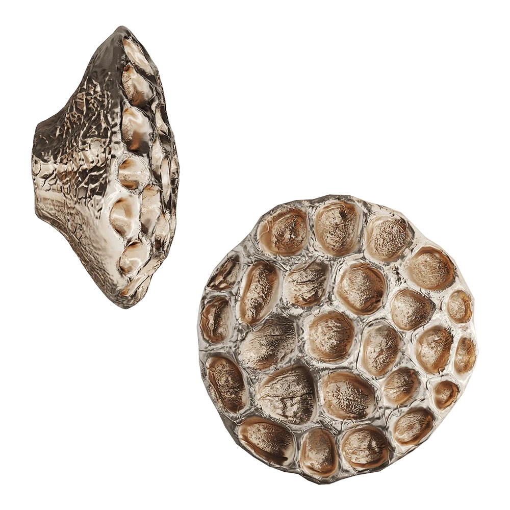 Altri oggetti decorativi 1