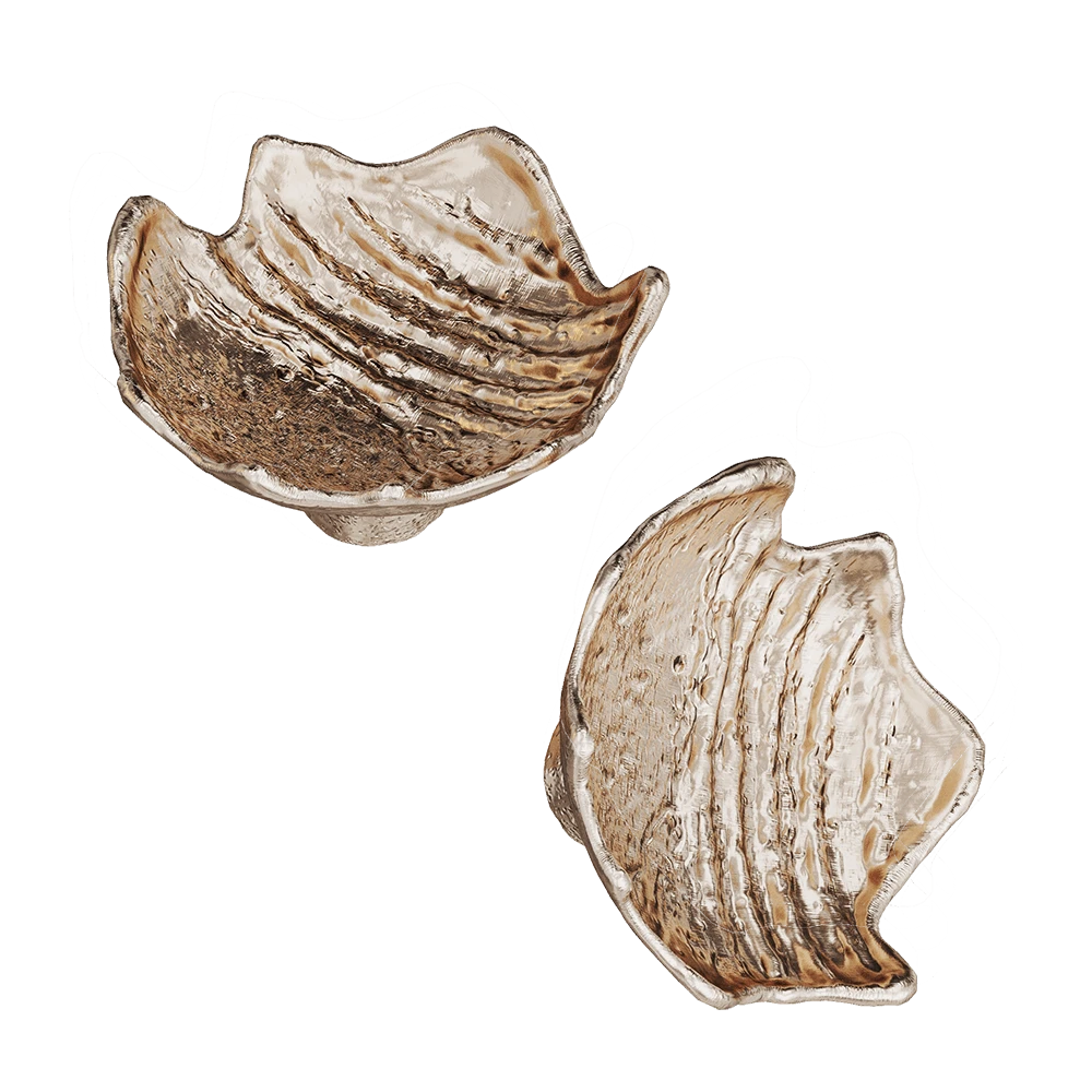 Manijas (Puerta y Otros) 1