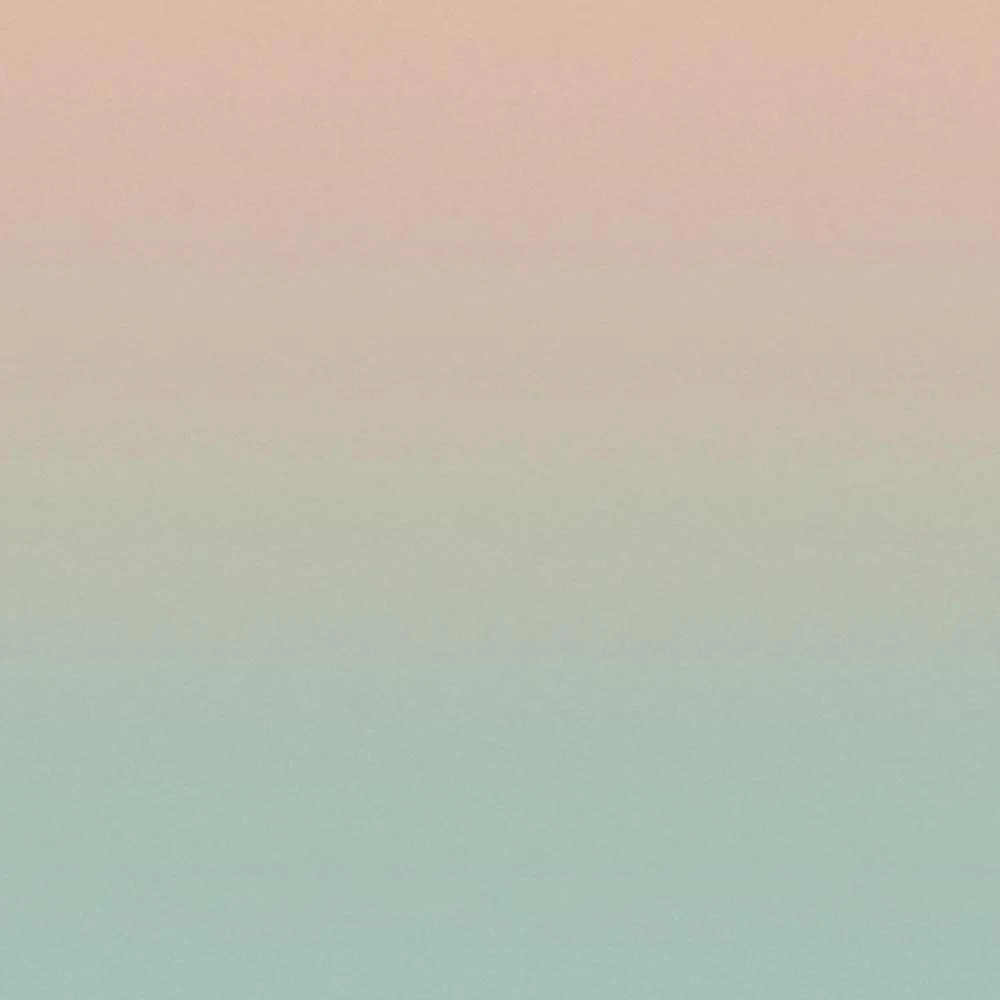 Rivestimento murale 1