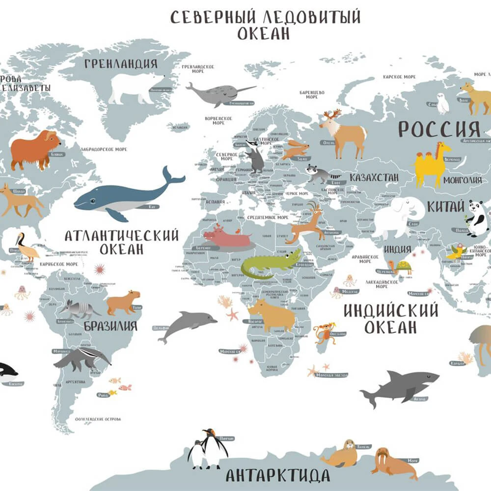 Rivestimento murale 2