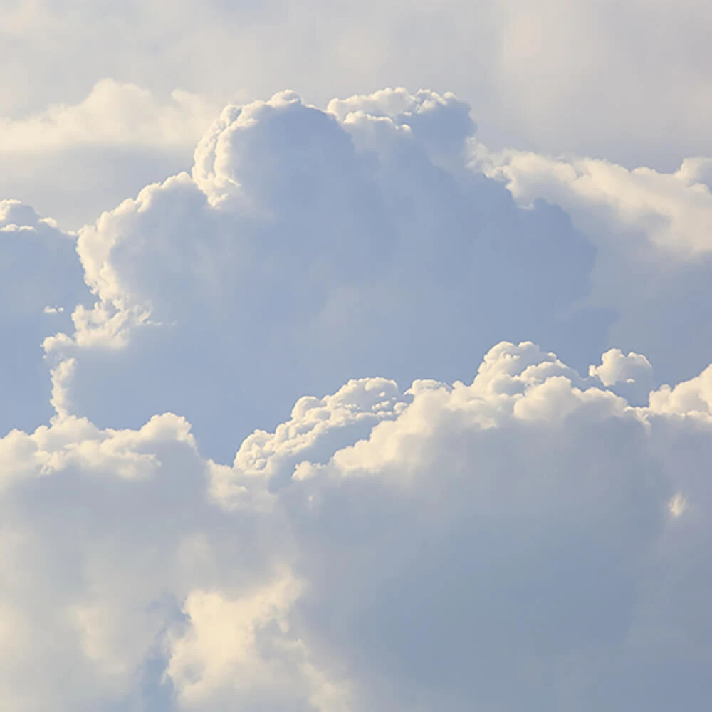 Պատի ծածկույթներ 1