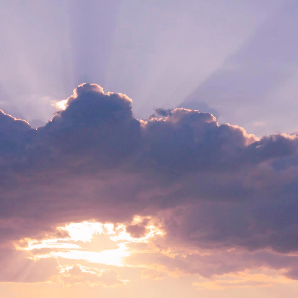 Recubrimiento de pared 1