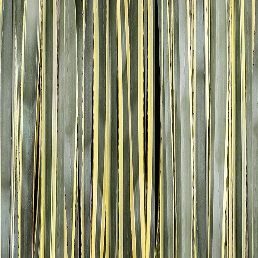 Rivestimento murale 1