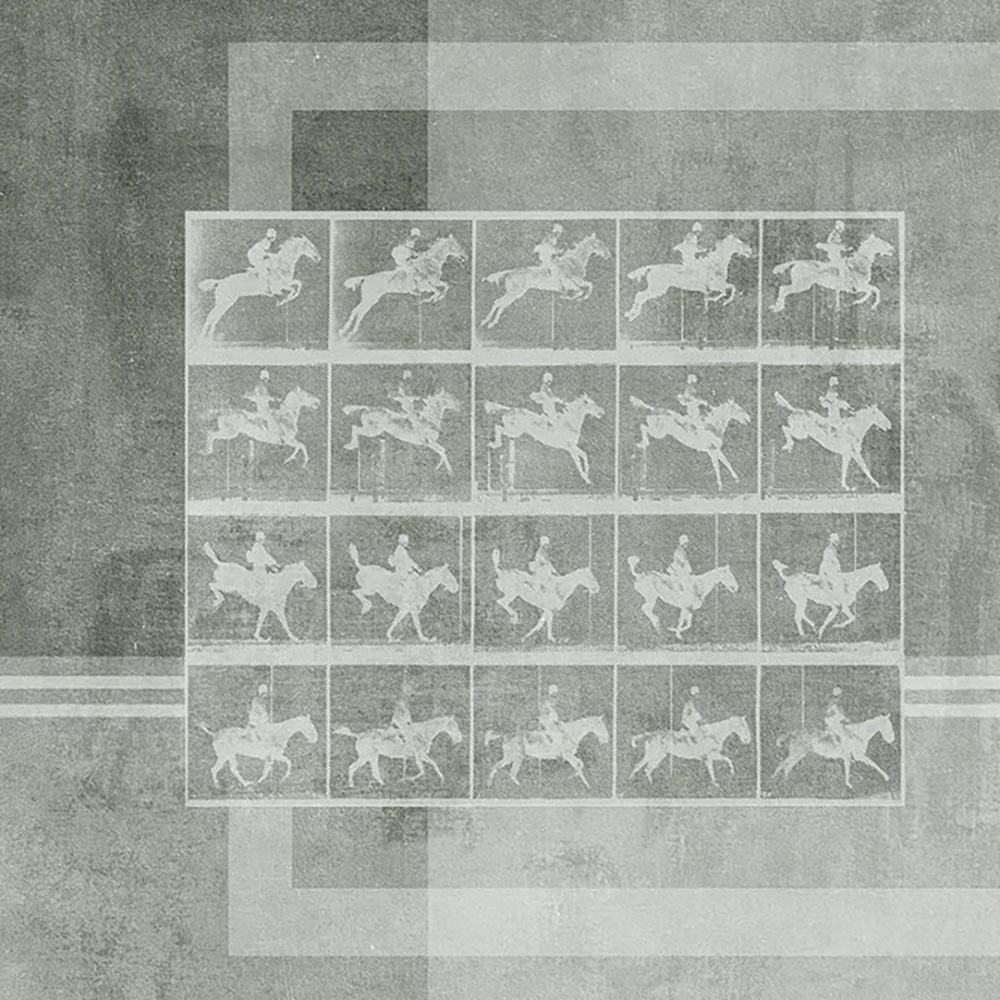 Recubrimiento de pared 1