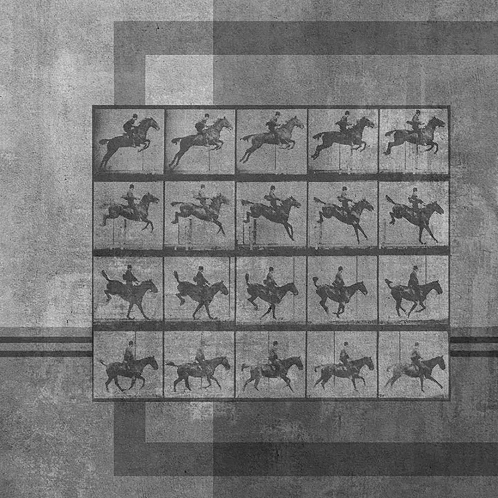 Recubrimiento de pared 2