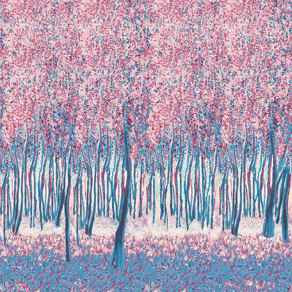 Recubrimiento de pared 2