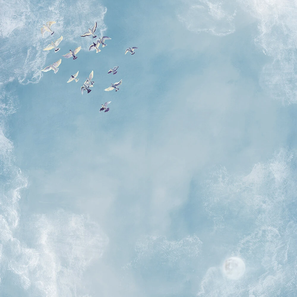 Recubrimiento de pared 1