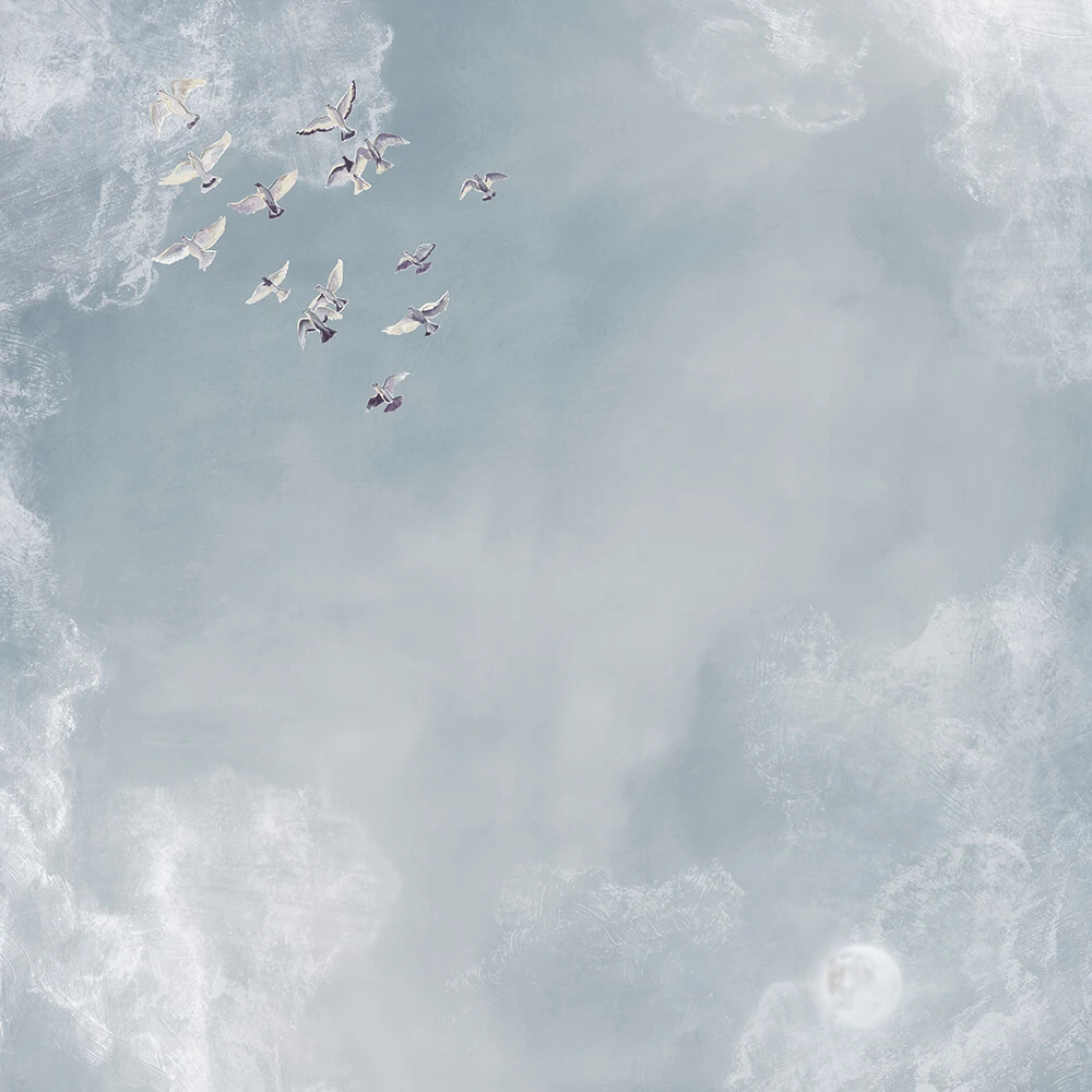 Recubrimiento de pared 2