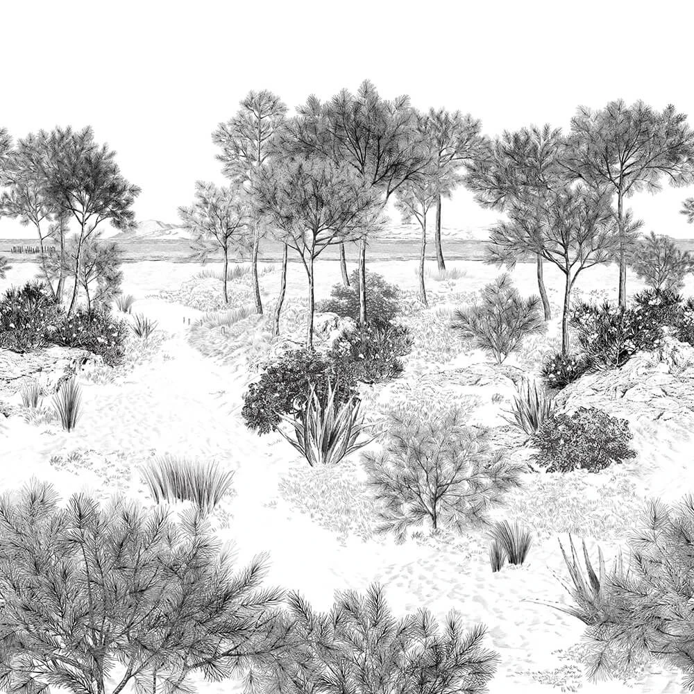 Պատի ծածկույթներ 2