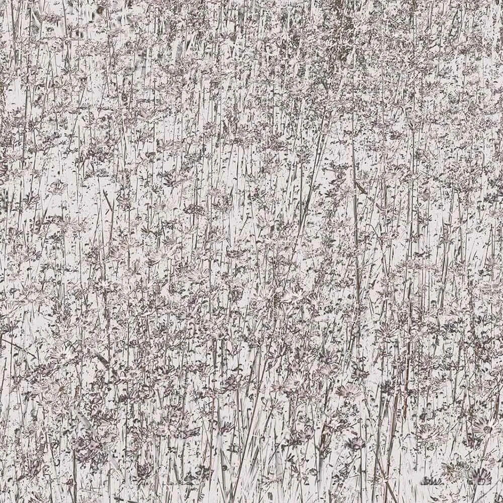 Պատի ծածկույթներ 1