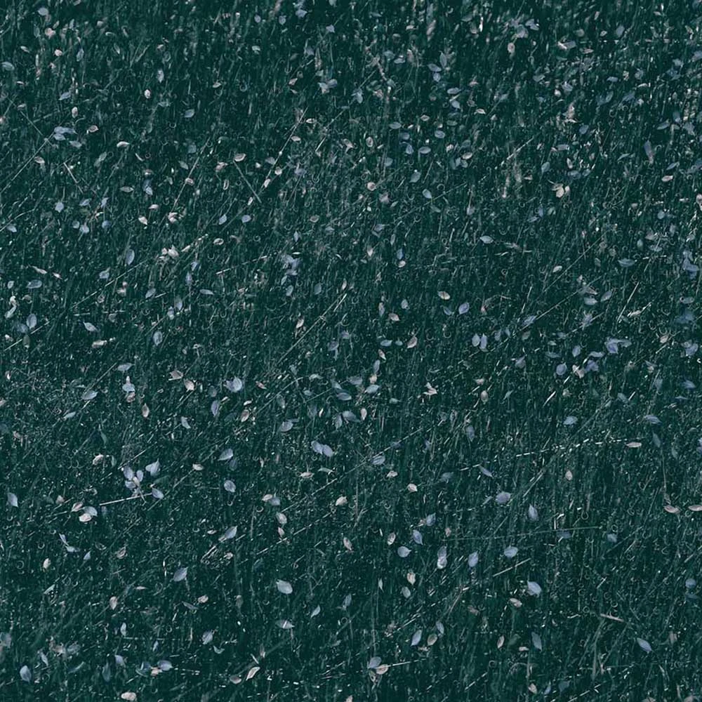 Rivestimento murale 2