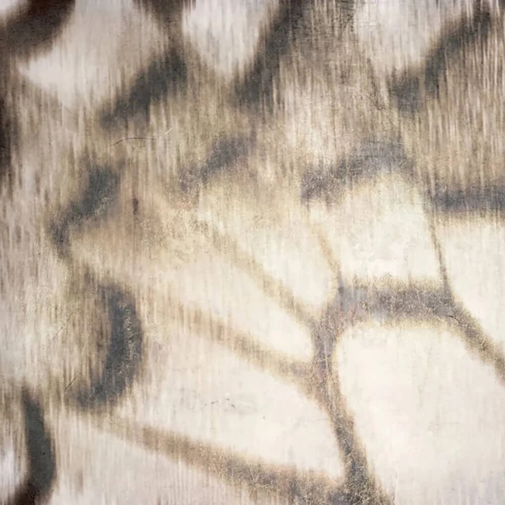 Recubrimiento de pared 1