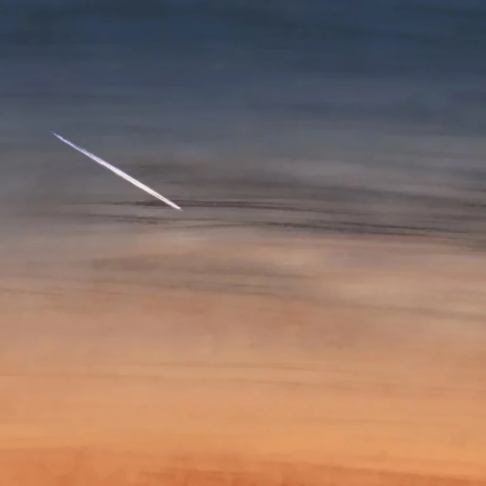 Պատի ծածկույթներ 1