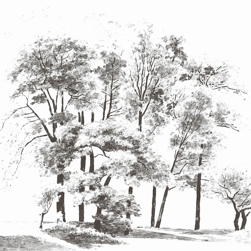 Recubrimiento de pared 1