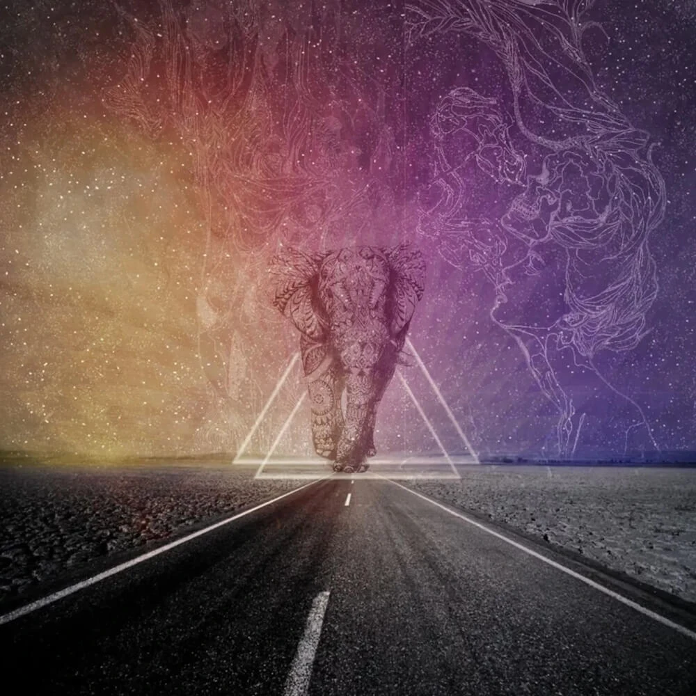 Պատի ծածկույթներ 1