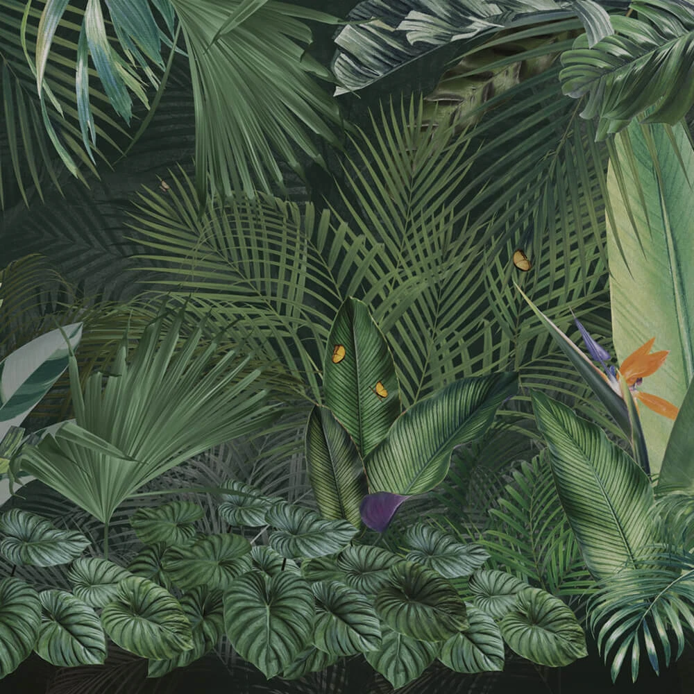 Պատի ծածկույթներ 1