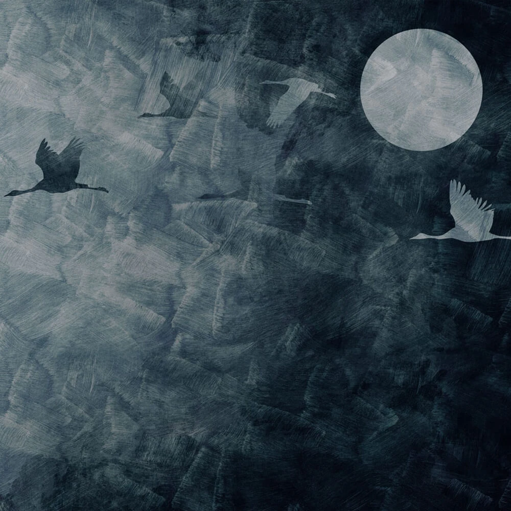 Recubrimiento de pared 2