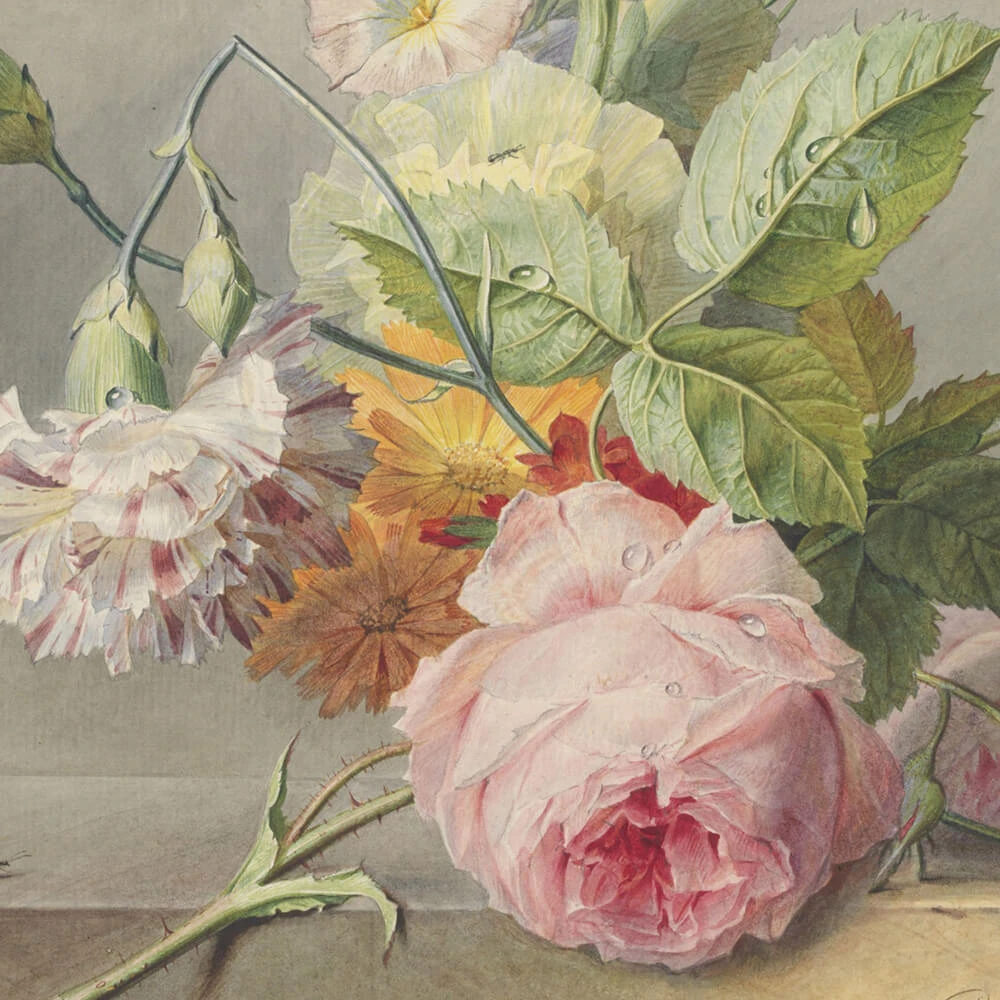 Պատի ծածկույթներ 1