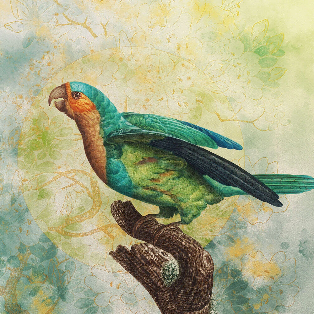 Rivestimento murale 1