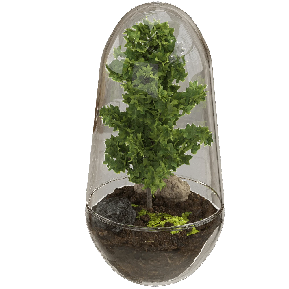 Plants / Other decorative objects 1