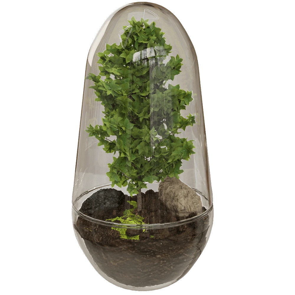 Plants / Other decorative objects 2