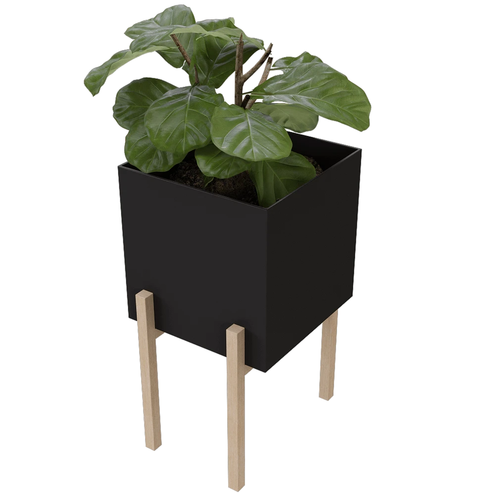 Plants / Other decorative objects 2