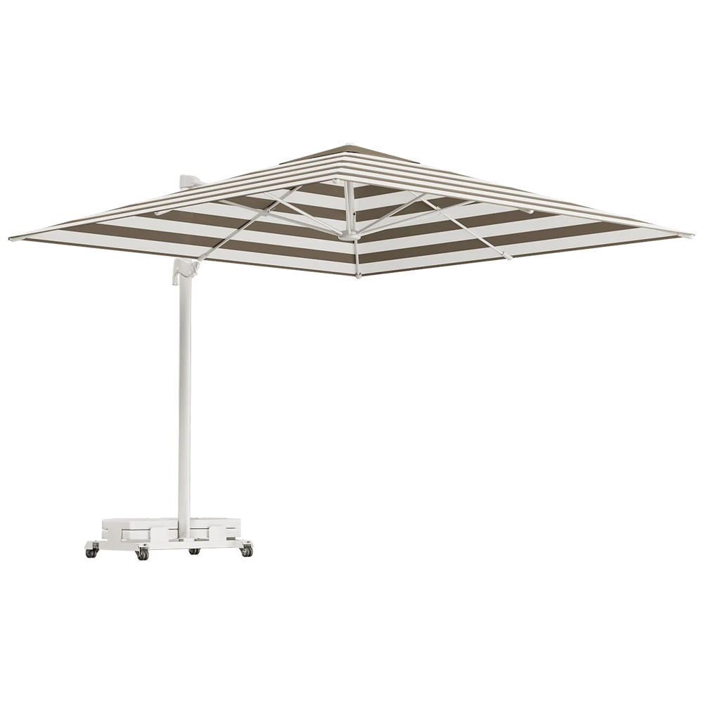 Other / Miscellaneous 1