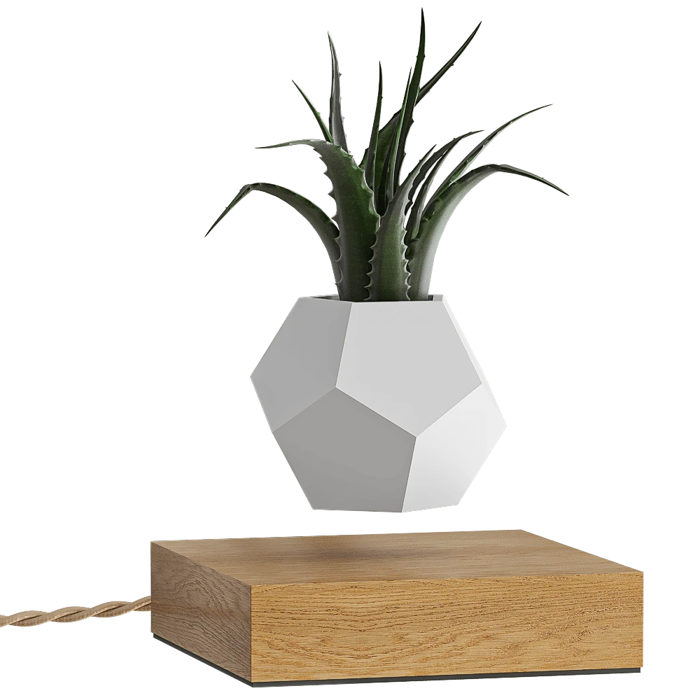 Vases / Other decorative objects 1