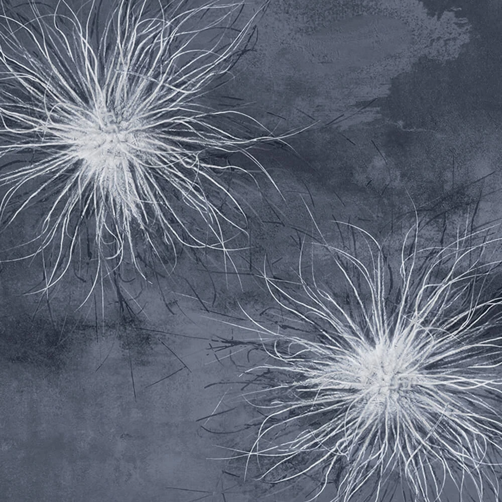 Стены, обои 1