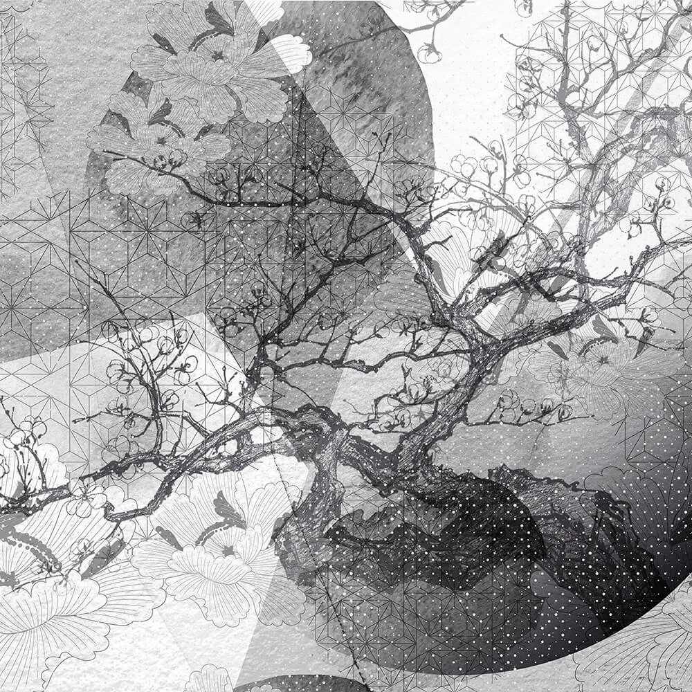 Recubrimiento de pared 2