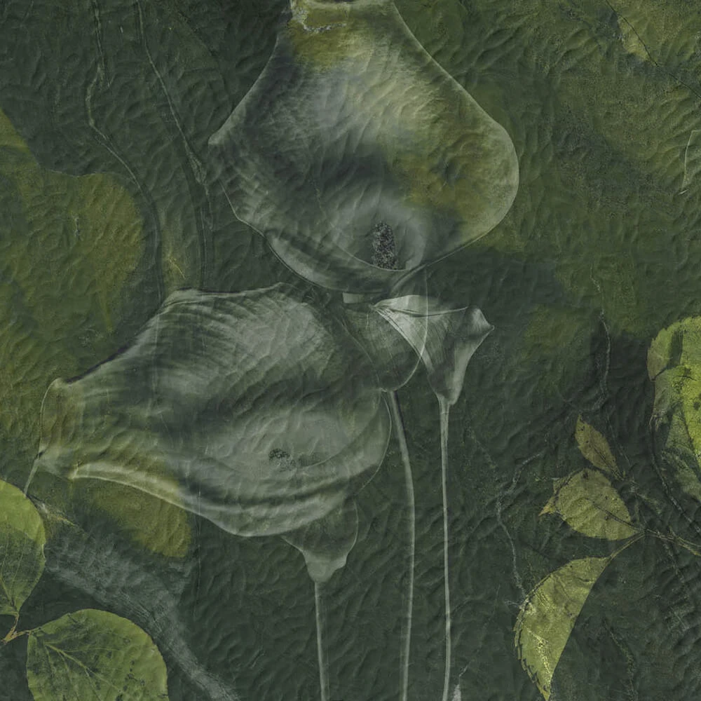 Стены, обои 1