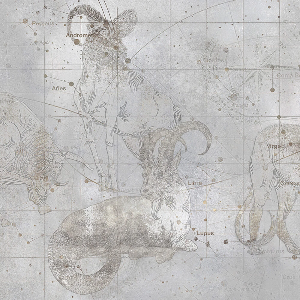 Rivestimento murale 1