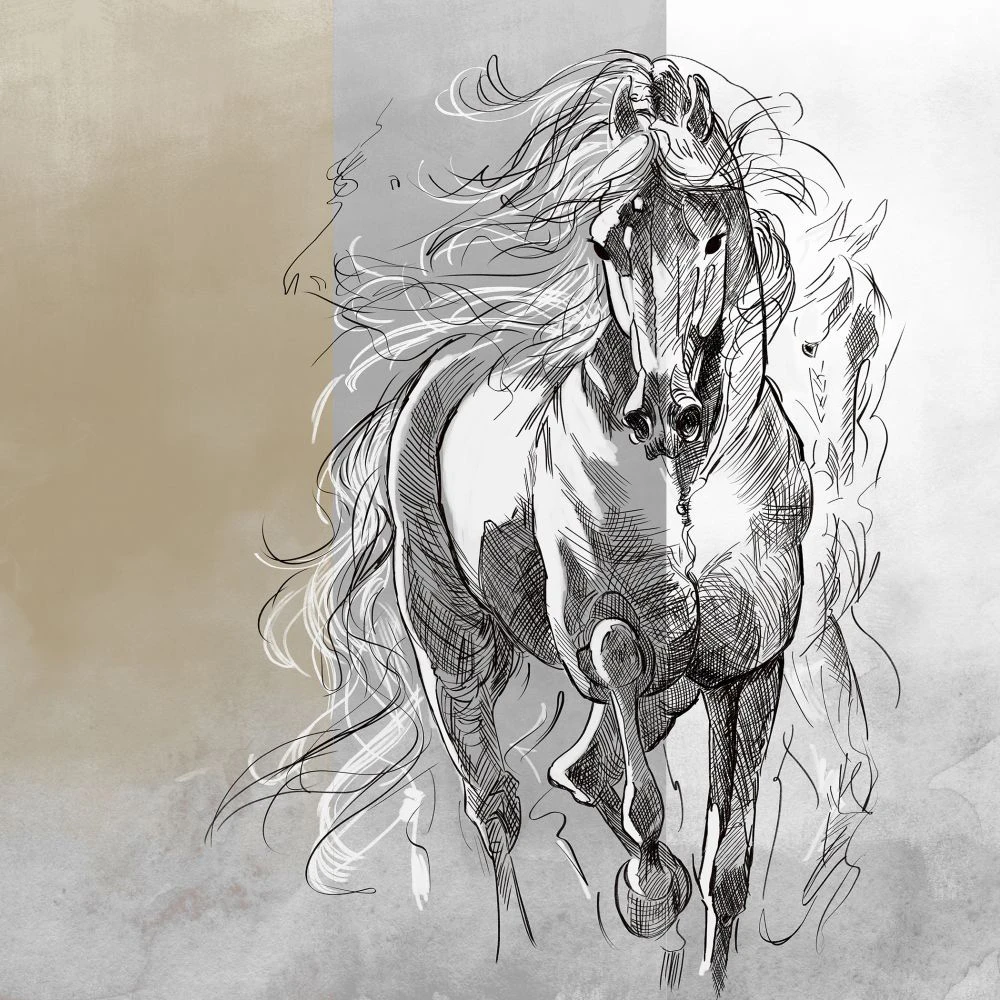 Rivestimento murale 2