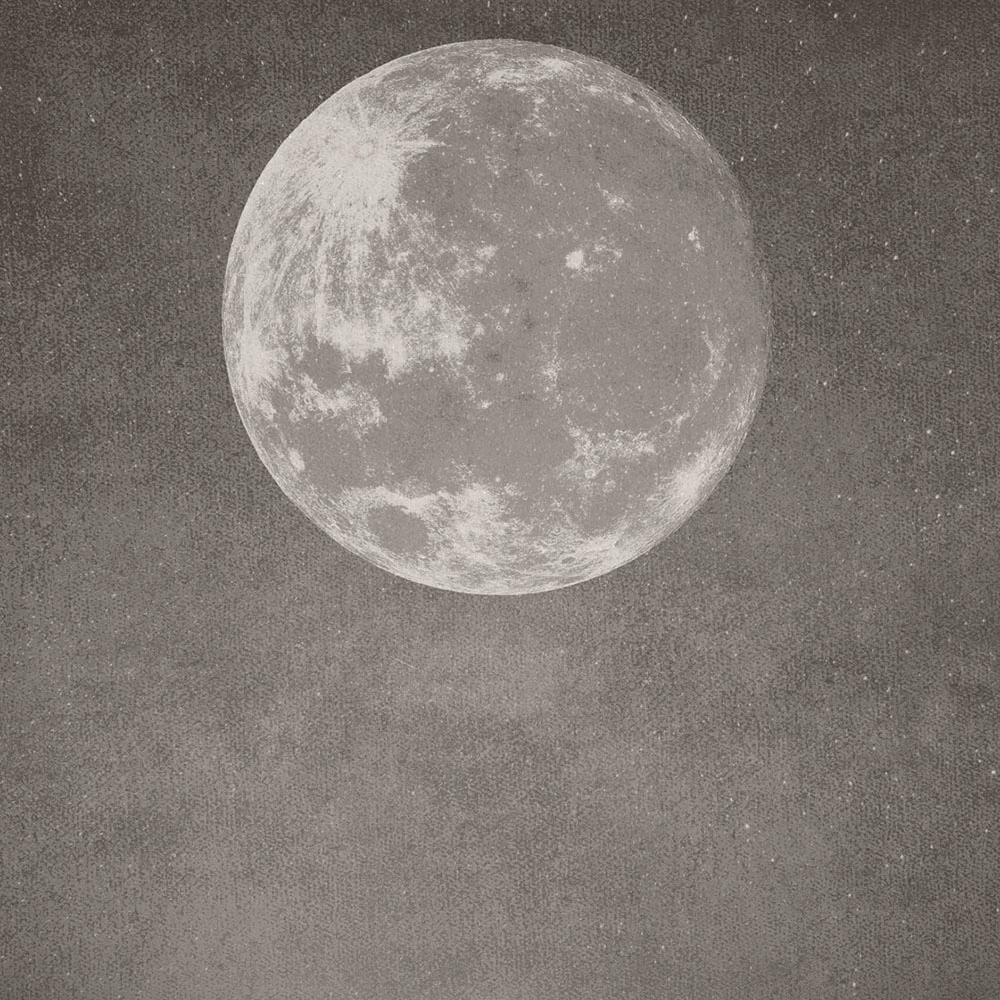 Rivestimento murale 1