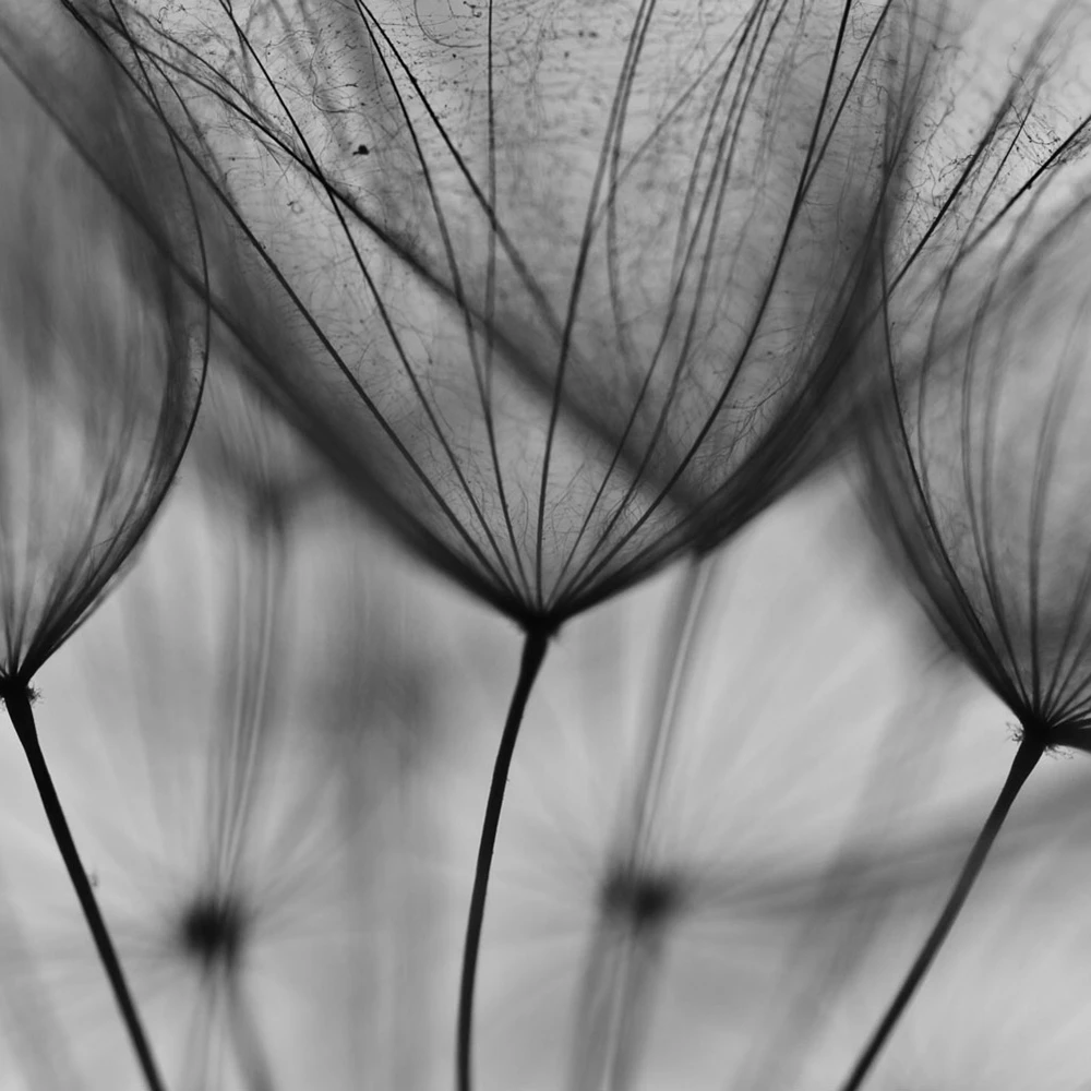 Rivestimento murale 1