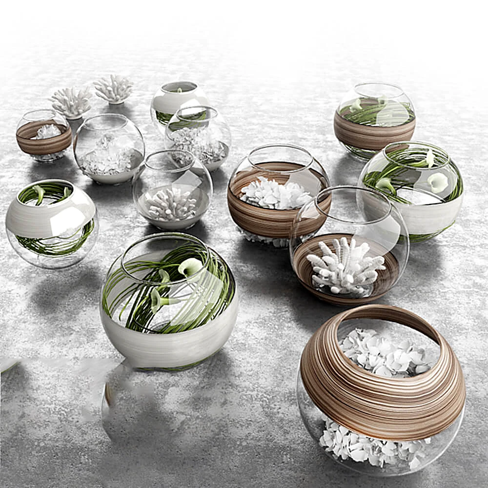 Plants / Vases / Decorative set 1