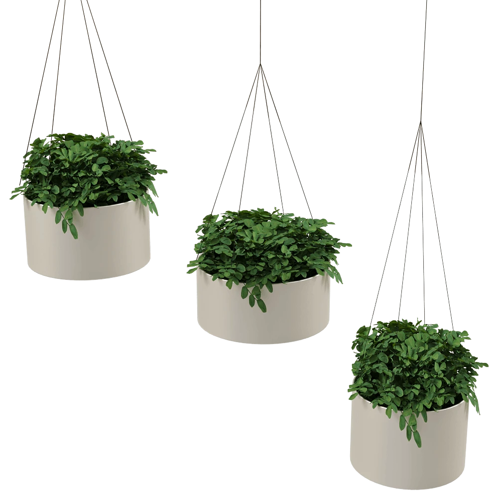 Other decorative objects 2